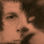 Uživatelský avatar