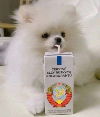 355700522_23899749516278795_1297409519248090138_n.jpg