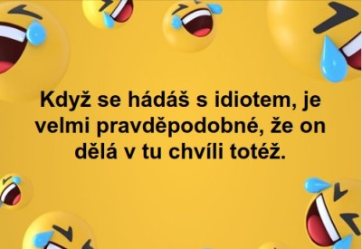 idiot.jpg